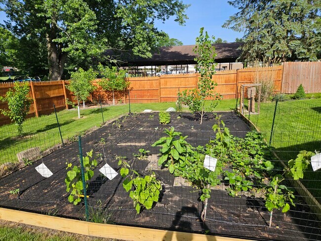 Jardín - 4047 Mogadore Rd