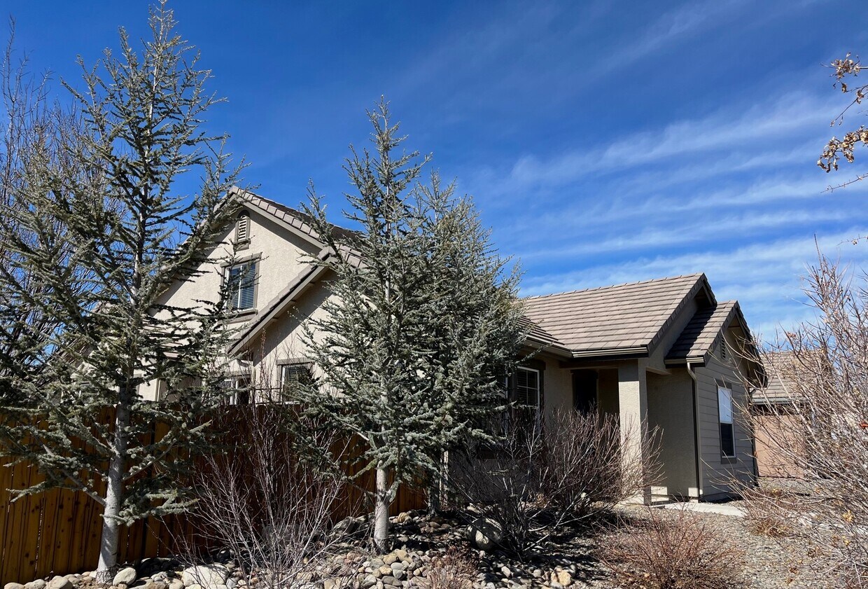 1108 Fiore Ct, Minden, NV 89423 House Rental in Minden, NV
