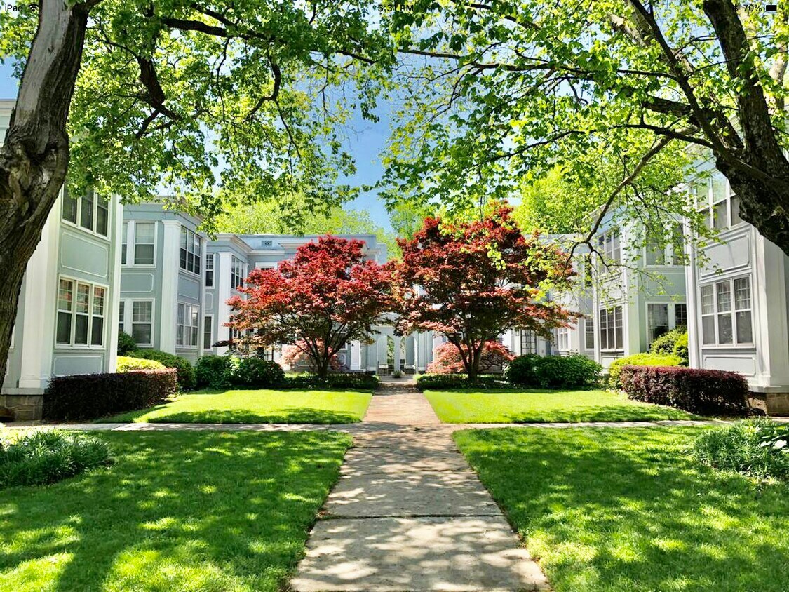 Beautifully maintained courtyard - 435 10th St NE