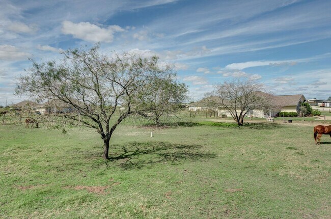 Foto del edificio - 3/2 beautiful duplex with turnout