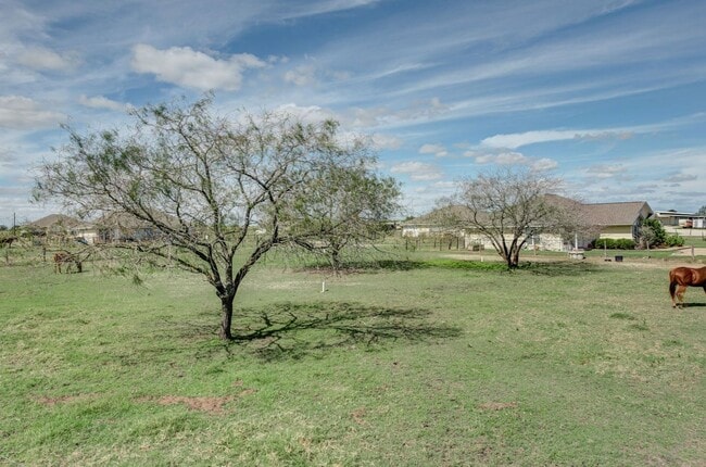 Building Photo - Live Where Your Horse Lives!