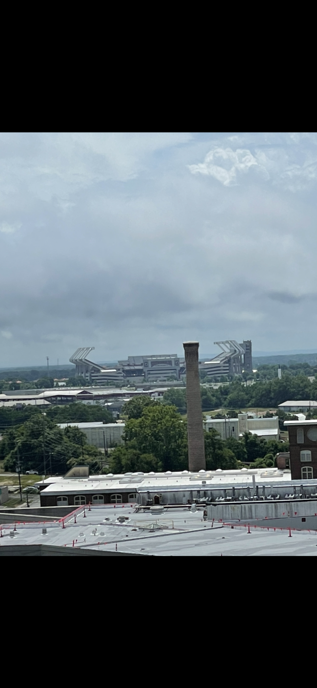 stadium in the distance - 1100 Wheat St