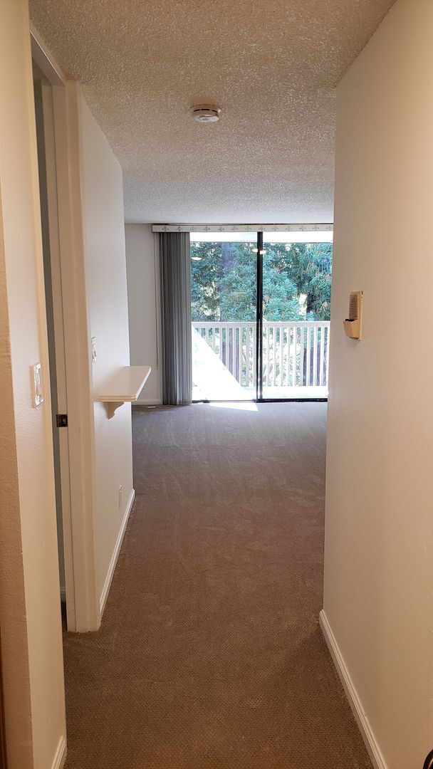 Building Photo - Cozy Studio Condo Available Now at Shelter Creek!