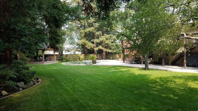 Building Photo - Luxury Living with Solar Pool in Danville