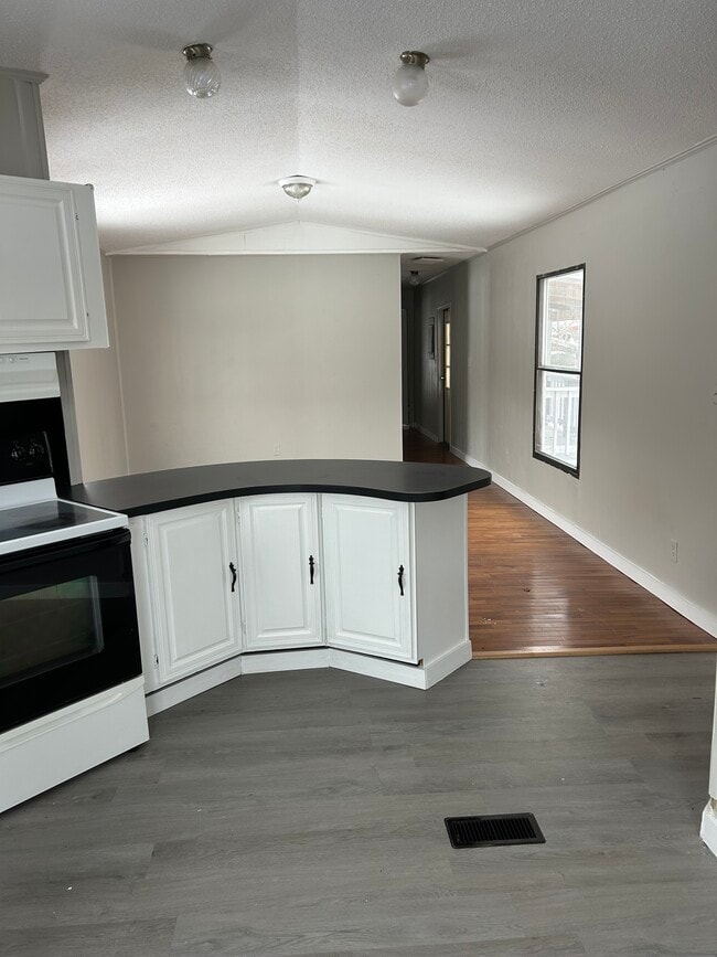 Kitchen/Living Room - 515 Vanzant Rd