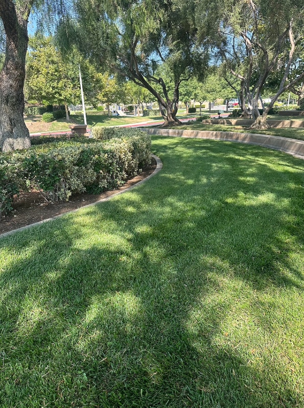 Primary Photo - 0 Avalon Pkwy