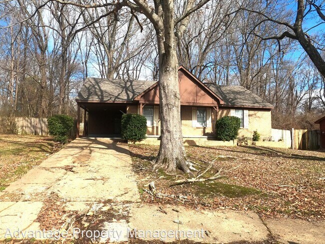 Foto del edificio - 4 br, 1.5 bath House - 3358 Brockcrest Cv.