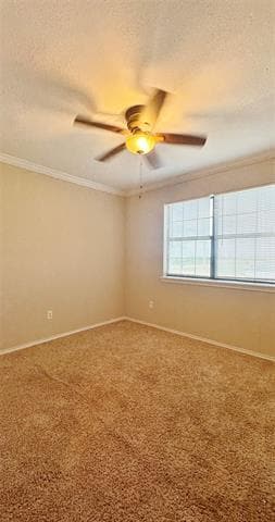 Building Photo - 304 Boot Ranch Rd
