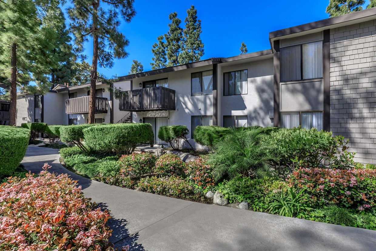 Primary Photo - Cherry Creek Apartments