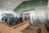 Located at 303 Arrowhead Lane in South Setauket, NY, this single-level fitness center is a well-appointed facility designed to support a comprehensive workout experience. The main floor boasts soaring vaulted ceilings accented by warm wood paneling, ceiling fans, and recessed lighting, all of which contribute to an open and energizing atmosphere. Large floor-to-ceiling windows line the walls, flooding the space with natural light and offering views of the surrounding neighborhood.

The main workout area features warm hardwood-style flooring and is outfitted with an extensive array of commercial-grade strength machines, including multi-functional cable systems and a full lineup of resistance equipment. Full-length mirrors are strategically placed along the walls to maximize the sense of space and provide visual feedback during training.

A dedicated cardio section houses multiple treadmills and stair climbers positioned directly in front of the expansive windows, providing an inspiring outdoor view while exercising. An enclosed studio room, accessible through sleek black-framed glass doors, offers a quieter zone stocked with free weights, adjustable benches, and cycling equipment. The facility also includes restroom facilities conveniently accessible from the main floor. Together, these elements create a polished, functional, and motivating environment for fitness enthusiasts.