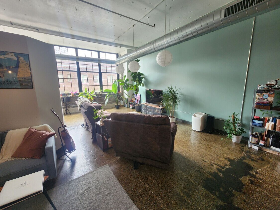 Foto principal - City-View Artist's Loft in Downtown St. Paul