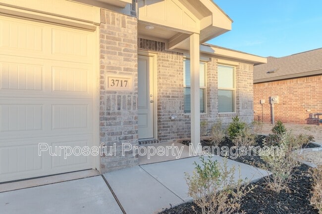 Building Photo - 3717 Los Cabos Dr