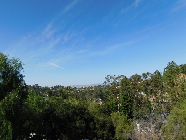 VIEW - 4419 Consuelo Rd