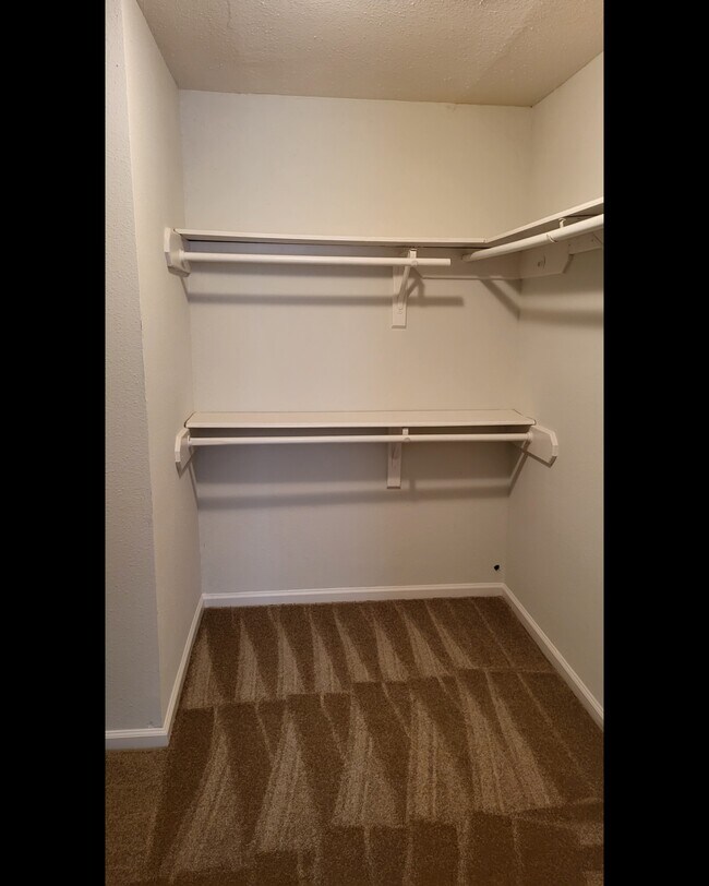 Foto del edificio - 5810 Twisted Pine Court