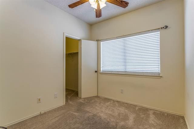 Foto del edificio - 809 Waverly Dr