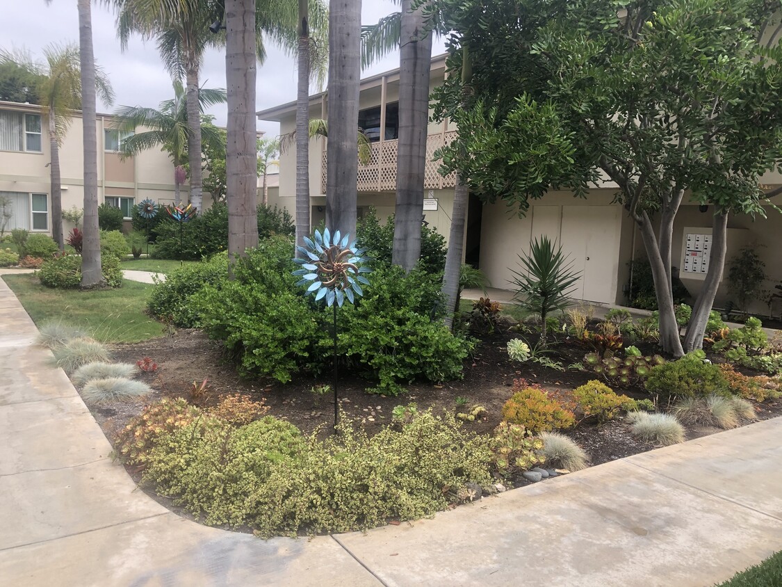 Primary Photo - The Westcliff Courtyard Apartments