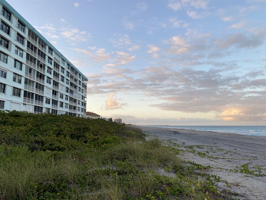 Directly on the sand - 900 Ocean Dr