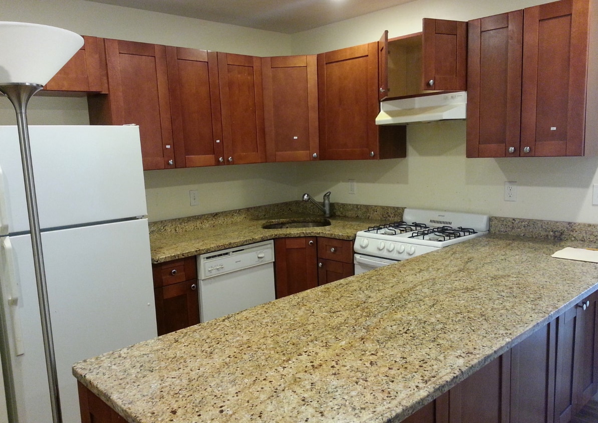 62 Egmont St Unit 6, Brookline, MA 02446 Condo for Rent in Brookline