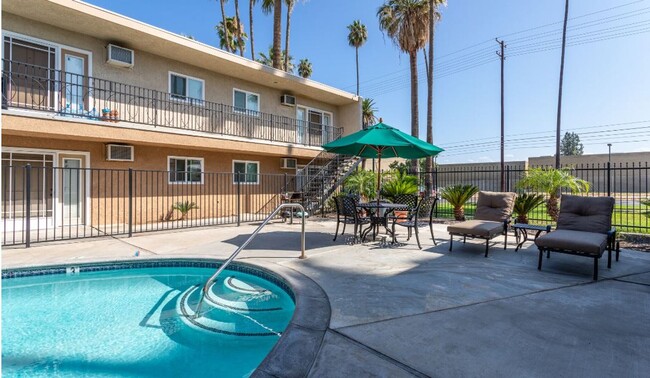 Interior Photo - Sago Palms