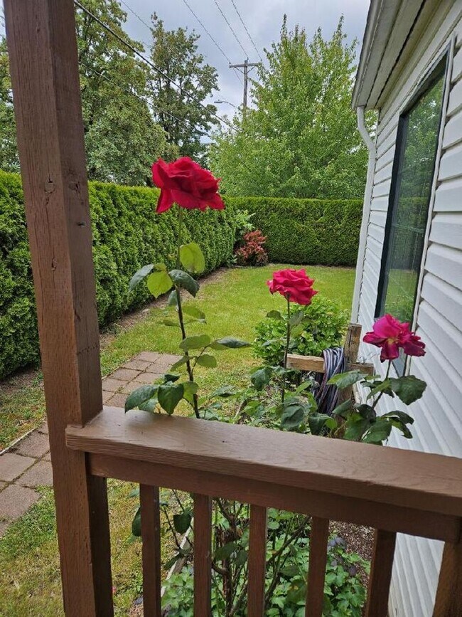 Foto del edificio - Quaint 4 bedroom/ 1 1/2 Bath
