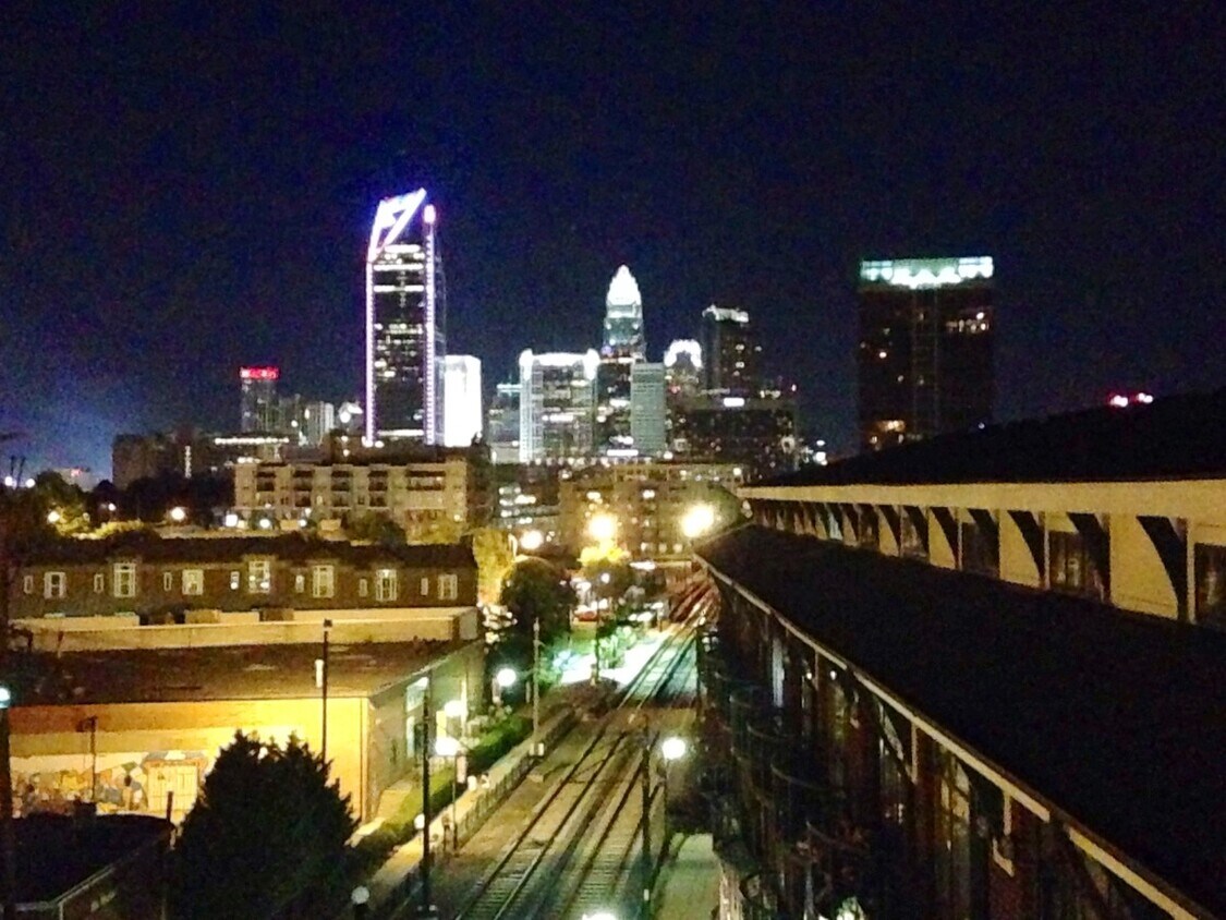 View from Rooftop Terrace - 115 E Park Ave