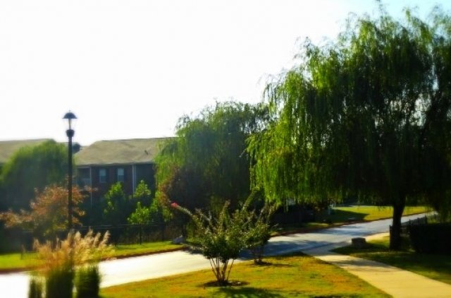Foto del edificio - 3302 N Dixieland Rd