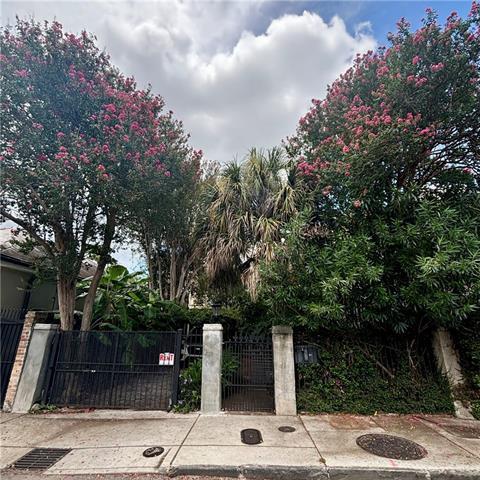 Foto principal - 837 Governor Nicholls St