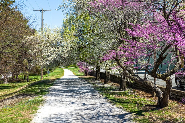 Residents can enjoy beautiful trees as they traverse Harry Wiggins Trolley Track Trail.