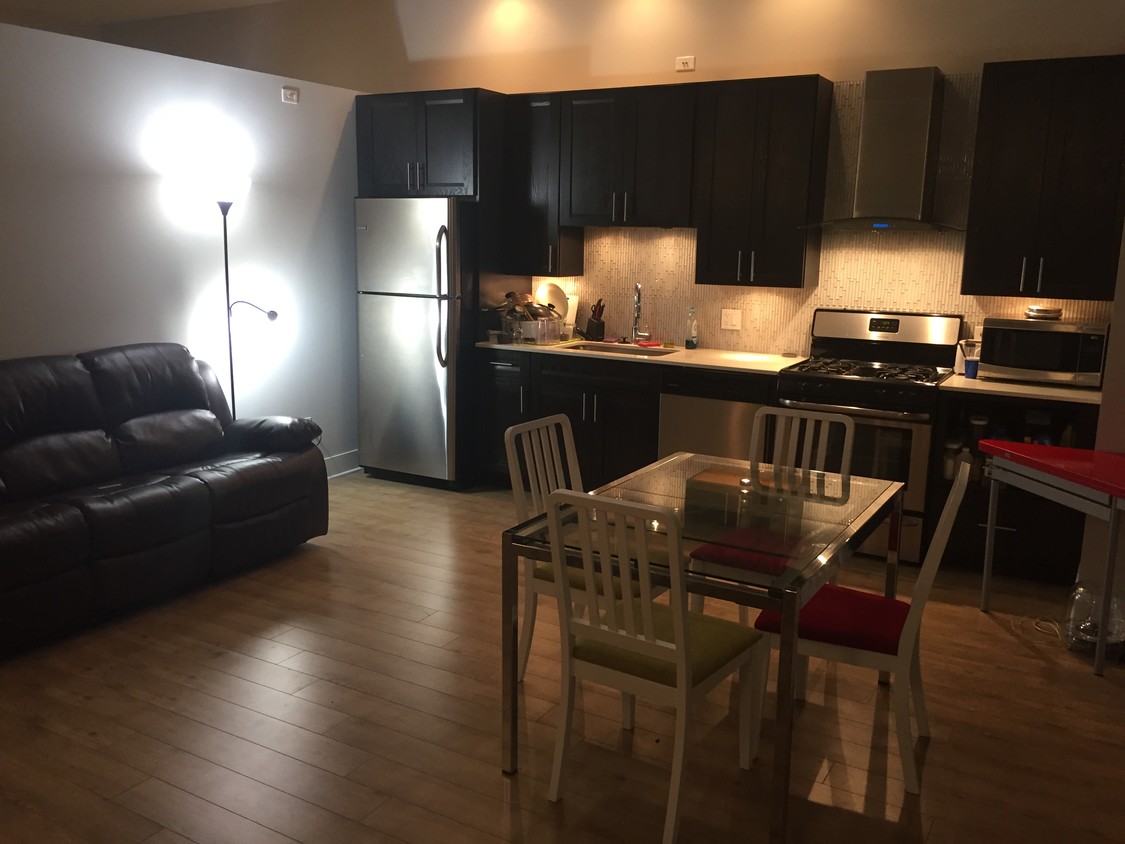 Kitchen + Living Room - 1340 S Michigan Ave