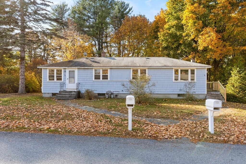 Primary Photo - 31 Neillian St