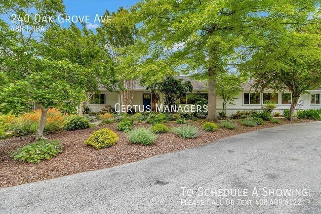 Foto del edificio - 240 Oak Grove Ave