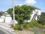 Primary Photo - 2512 Morningside Dr