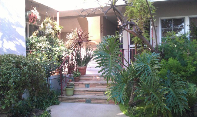 Courtyard walkway to your new apt - 2038 N Hoover St