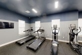 Located at 2000 Swenson Ln in Saint Peters, MO, this fitness center offers a thoughtfully designed workout space housed on a single floor. The room features a distinctive two-tone color scheme, with a deep navy blue upper wall and ceiling paired with a lighter grey-blue lower wall, creating a modern and energizing atmosphere. Durable rubber flooring spans the entire space, providing traction and cushioning ideal for high-impact exercise.

The facility is comprehensively equipped for a full-body workout. Cardio equipment includes multiple treadmills, elliptical trainers, a rowing machine, a stationary spin bike, and a stair climber. Strength training needs are met with a multi-function cable machine, a rack of dumbbells with an adjustable weight bench, and additional free weight accessories. A wall-mounted flat-screen television provides entertainment during workouts.

Large mirrors line one wall, enhancing the sense of openness and allowing users to monitor their form. Natural light enters through multiple windows positioned along the walls, complementing the flush-mounted rectangular LED ceiling fixtures that ensure bright, even illumination throughout. A wall-mounted HVAC unit provides climate control. The layout is open and spacious, allowing for comfortable movement between equipment zones.