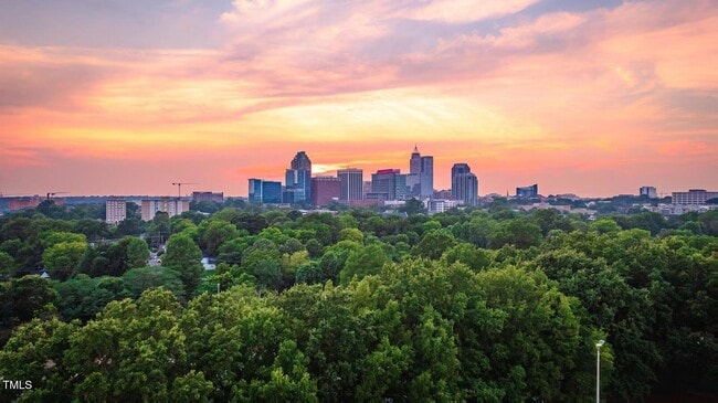 Photo - 1103 Alfonso Ln Townhome