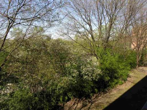 Building Photo - 5800 Oakwood Dr