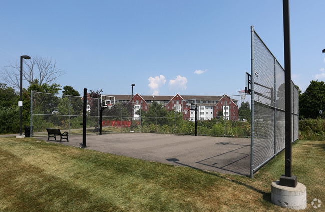 Multipurpose Court - College Suites at Cortland