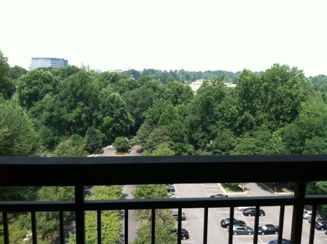Front View from Balcony - 2230 George C Marshall Dr