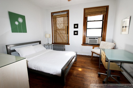 Foto del diseño de interior - East Village Furnished Apartment