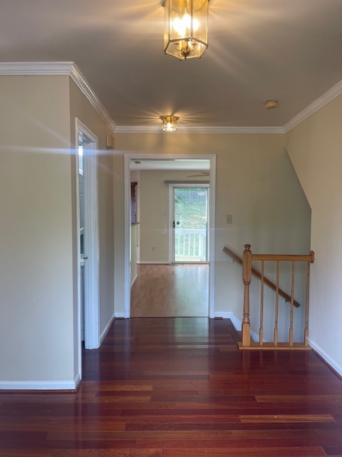 Foto del edificio - 3710 Green Ash Ct