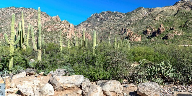 Vivir en Tucson no puedes ser mejor que - 6655 N Canyon Crest Dr