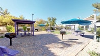 This well-appointed outdoor community space, branded under Element Convenient Homes, is designed to offer residents and their pets a dynamic and social environment. The grounds are finished with a combination of interlocking paver hardscaping and patches of artificial turf, creating a clean and low-maintenance landscape suited for a sunny desert climate.

A dedicated dog park area features a full agility course set on synthetic turf, complete with jump hoops, a tunnel, and stepping platforms — providing an engaging space for pets of all sizes. Adjacent to the agility zone, a separate gravel-surfaced enclosure includes a covered picnic table with a pergola-style shade structure in a bold purple finish, offering a comfortable spot for pet owners to relax and socialize.

The main courtyard area is outfitted with multiple purple picnic tables, some shaded by large teal market umbrellas, along with grills for outdoor cooking. A cornhole game set on artificial turf adds a recreational element for residents. Perimeter landscaping includes mature trees and decorative shrubs that provide natural shade and a sense of enclosure, while wrought iron fencing and block walls define the boundaries of the space. Tall light poles ensure usability into the evening hours. Overall, the area presents a lively, community-focused outdoor retreat.