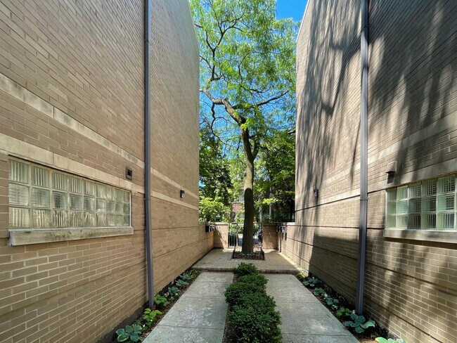 Building Photo - 937 W Wrightwood Ave