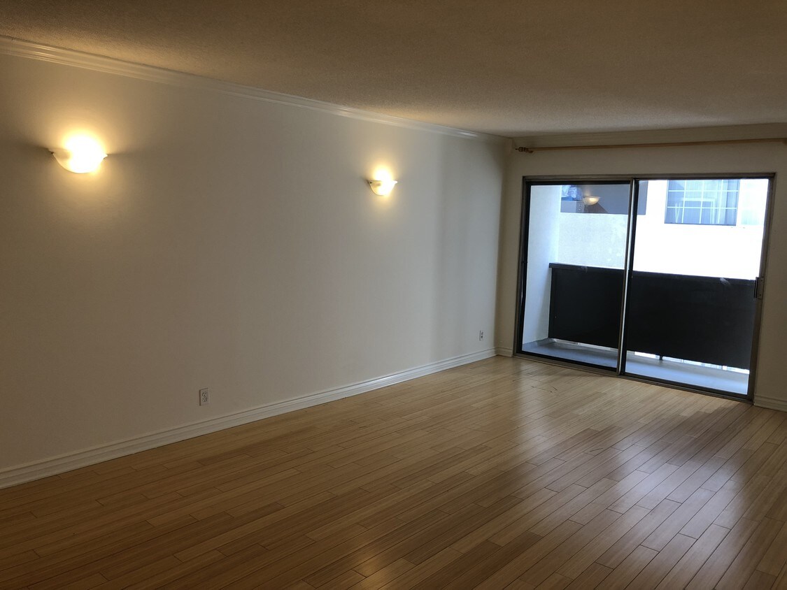 Living room - 117 Doheny Drive