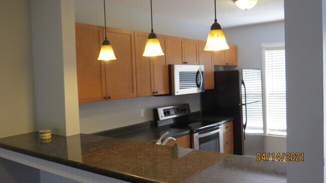 Building Photo - 246 Palmetto Ct