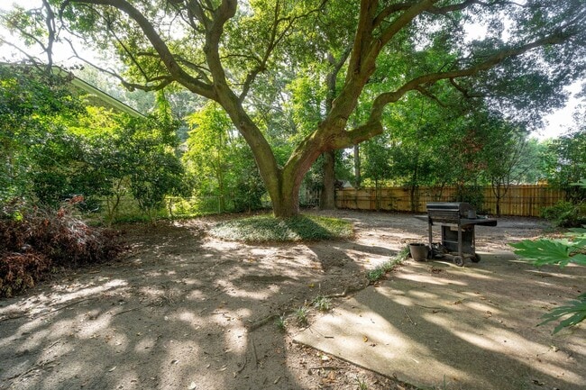 Building Photo - 3BR/2BA Home with Fireplace and Fenced Yard in Mt Pleasant