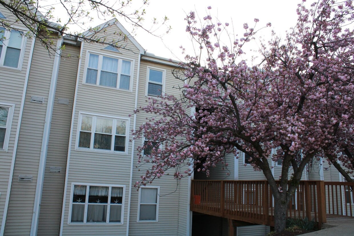 Charming 2 Bedroom/1 Bathroom Condo in Hal... - Charming 2 Bedroom/1 Bathroom Condo in Hal...