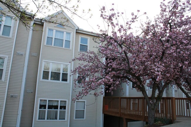 Charming 2 Bedroom/1 Bathroom Condo in Hal... - Charming 2 Bedroom/1 Bathroom Condo in Hal...