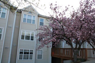 Building Photo - 20 Deer Run Ct