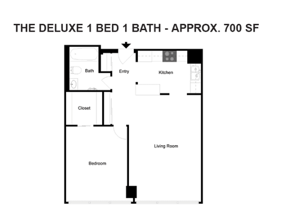 Reserve Square Apartments – 1 Bedroom 1 Bath Deluxe & Executive